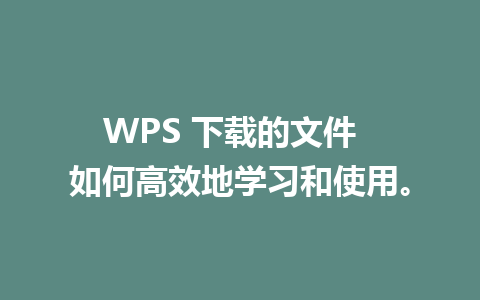 WPS 下载的文件  如何高效地学习和使用。