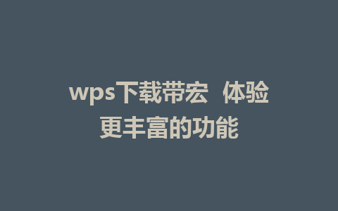 wps下载带宏  体验更丰富的功能