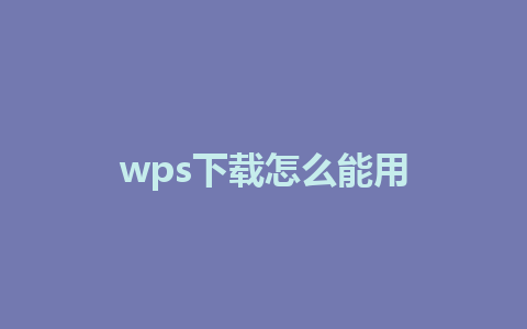 wps下载怎么能用 