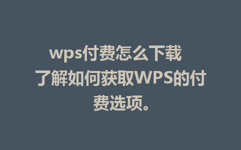 wps付费怎么下载  了解如何获取WPS的付费选项。