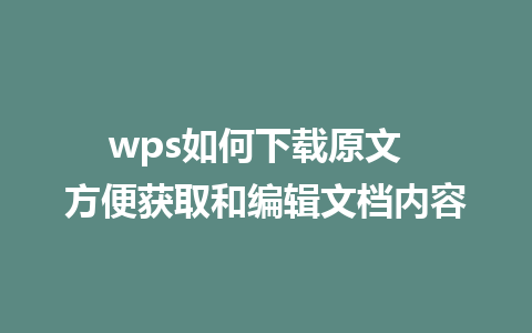 wps如何下载原文  方便获取和编辑文档内容