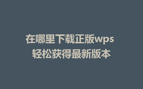 在哪里下载正版wps 轻松获得最新版本