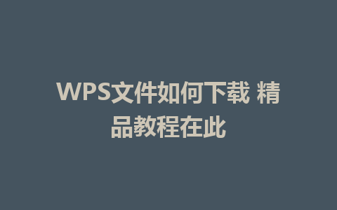 WPS文件如何下载 精品教程在此 