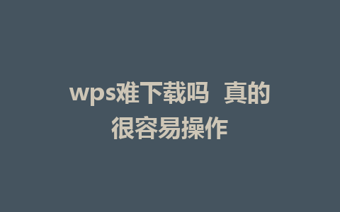 wps难下载吗  真的很容易操作