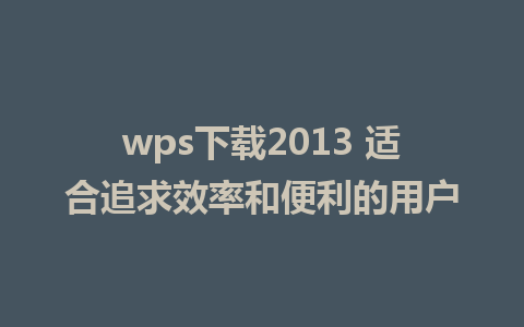 wps下载2013 适合追求效率和便利的用户