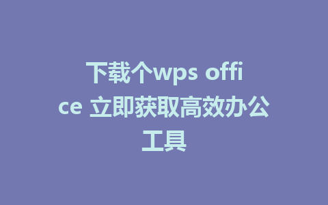 下载个wps office 立即获取高效办公工具