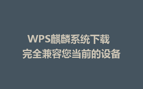 WPS麒麟系统下载  完全兼容您当前的设备