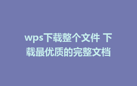 wps下载整个文件 下载最优质的完整文档