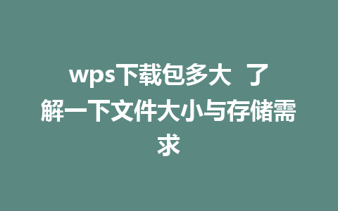 wps下载包多大  了解一下文件大小与存储需求