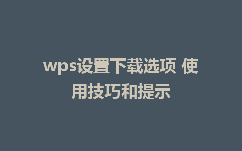 wps设置下载选项 使用技巧和提示