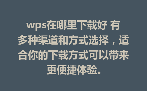 wps在哪里下载好 有多种渠道和方式选择，适合你的下载方式可以带来更便捷体验。