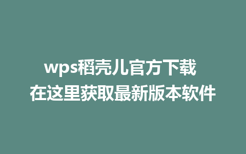 wps稻壳儿官方下载 在这里获取最新版本软件