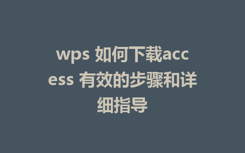 wps 如何下载access 有效的步骤和详细指导