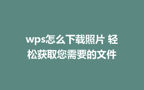 wps怎么下载照片 轻松获取您需要的文件