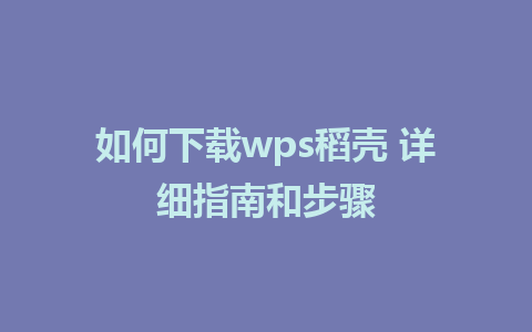 如何下载wps稻壳 详细指南和步骤