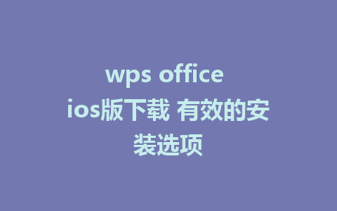 wps office ios版下载 有效的安装选项