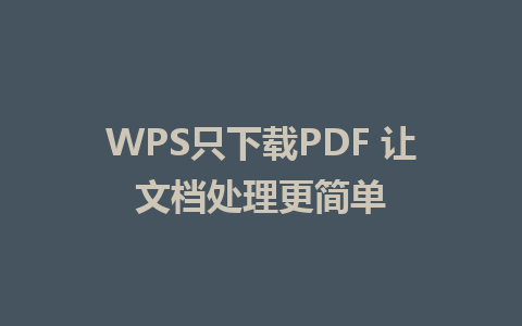 WPS只下载PDF 让文档处理更简单