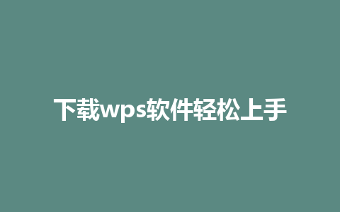 下载wps软件轻松上手