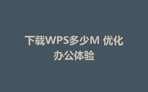 下载WPS多少M 优化办公体验