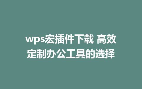 wps宏插件下载 高效定制办公工具的选择