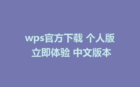 wps官方下载 个人版 立即体验 中文版本