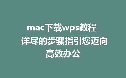 mac下载wps教程  详尽的步骤指引您迈向高效办公