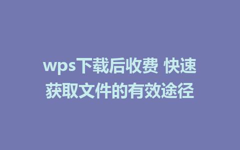 wps下载后收费 快速获取文件的有效途径