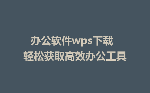 办公软件wps下载  轻松获取高效办公工具