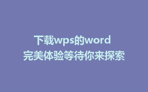 下载wps的word 完美体验等待你来探索