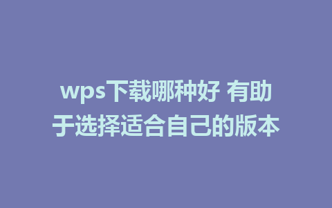 wps下载哪种好 有助于选择适合自己的版本