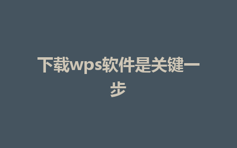 下载wps软件是关键一步 