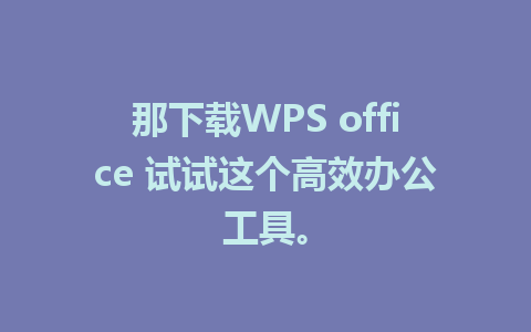 那下载WPS office 试试这个高效办公工具。