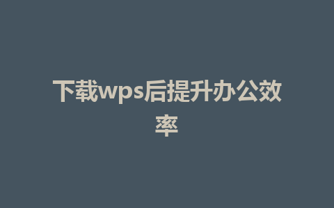 下载wps后提升办公效率