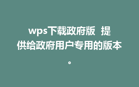 wps下载政府版  提供给政府用户专用的版本。