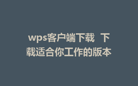 wps客户端下载  下载适合你工作的版本