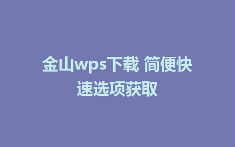 金山wps下载 简便快速选项获取