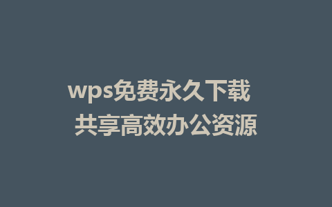 wps免费永久下载  共享高效办公资源