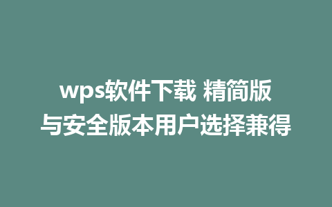 wps软件下载 精简版与安全版本用户选择兼得