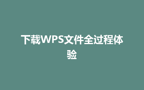 下载WPS文件全过程体验