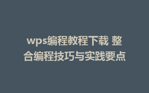 wps编程教程下载 整合编程技巧与实践要点