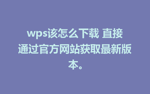 wps该怎么下载 直接通过官方网站获取最新版本。