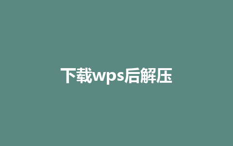 下载wps后解压 