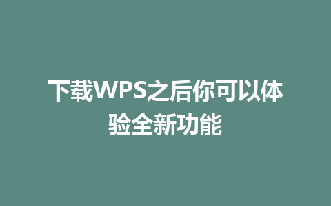 下载WPS之后你可以体验全新功能  