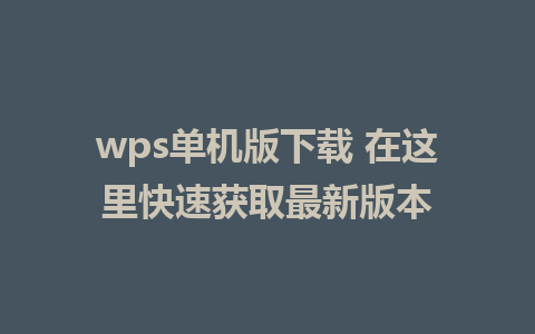 wps单机版下载 在这里快速获取最新版本