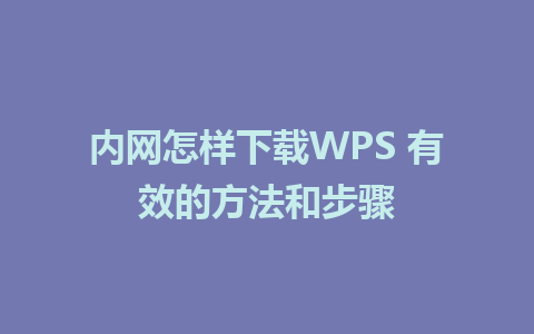 内网怎样下载WPS 有效的方法和步骤