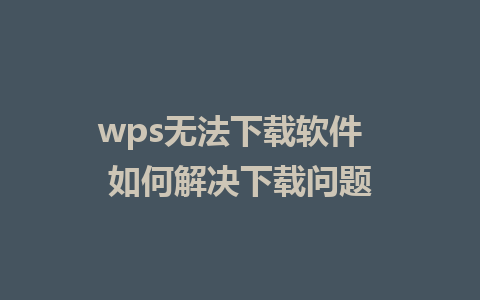 wps无法下载软件  如何解决下载问题