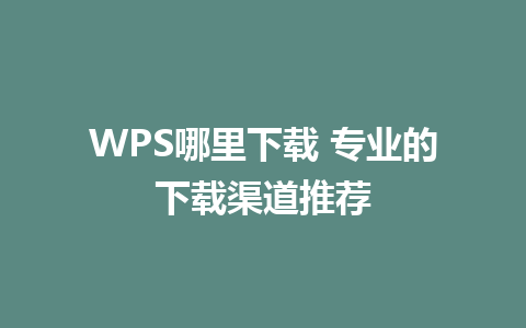 WPS哪里下载 专业的下载渠道推荐