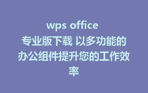 wps office 专业版下载 以多功能的办公组件提升您的工作效率