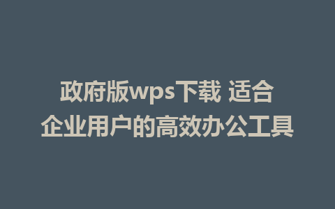 政府版wps下载 适合企业用户的高效办公工具