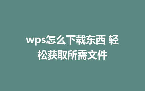 wps怎么下载东西 轻松获取所需文件